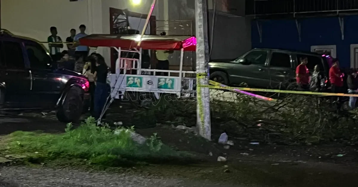Muere vendedor de elotes aplastado por árbol caído en Lomas Verdes, Xalisco
