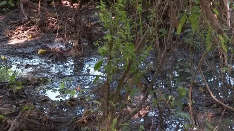 En el Olvido, Derrame de Aguas Negras a El Salado
