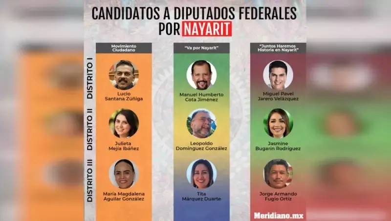 ¿Quiénes podrían ser los próximos legisladores federales de Nayarit?