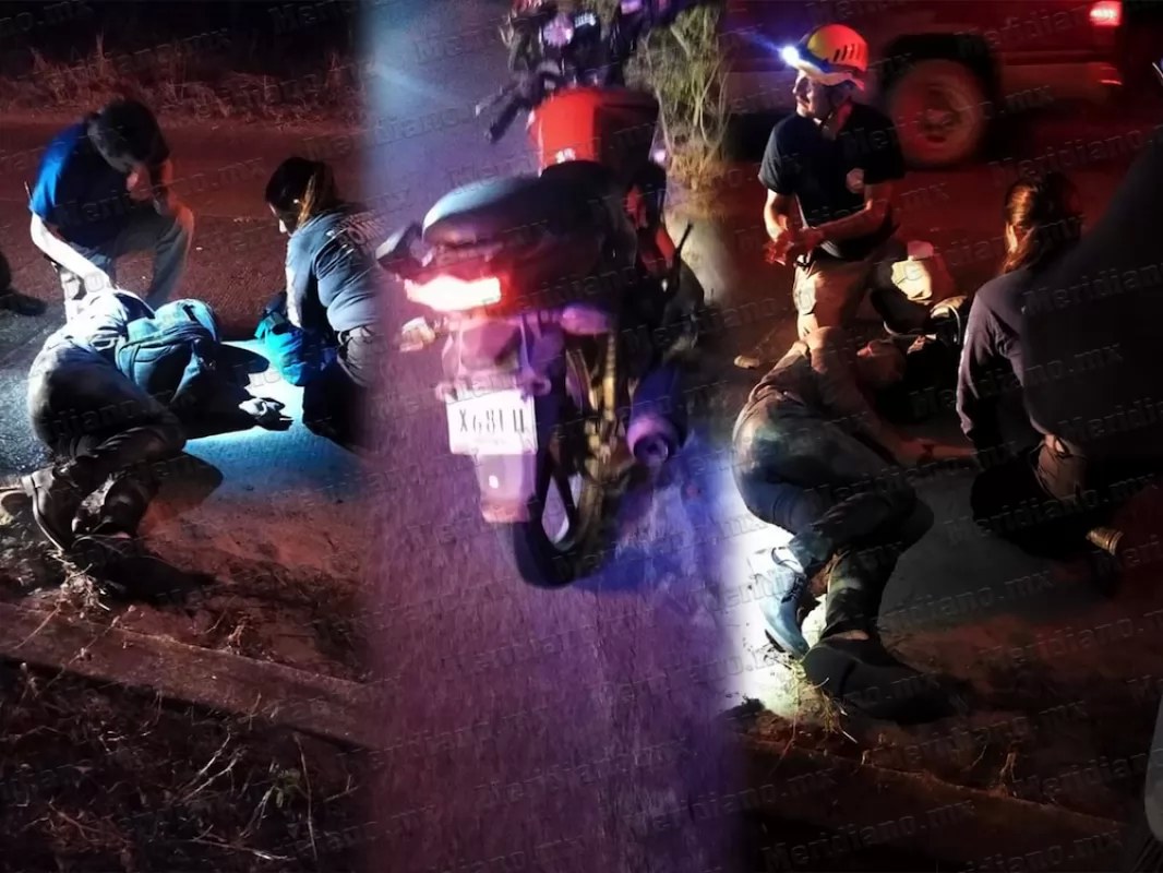 ¡caballazo mortal en bahía!