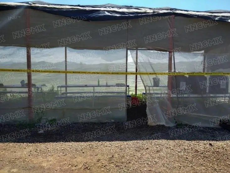 Encuentra en feto en rancho de Compostela