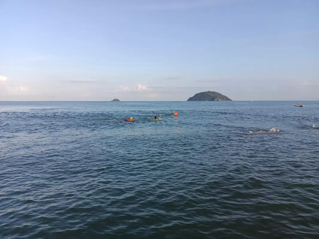 Alertan por aparición de mantarrayas en Guayabitos