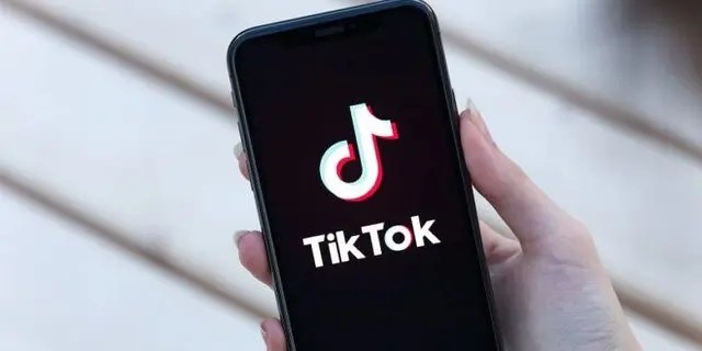 En medio de tensiones con China, India bloquea el uso de TikTok en su territorio