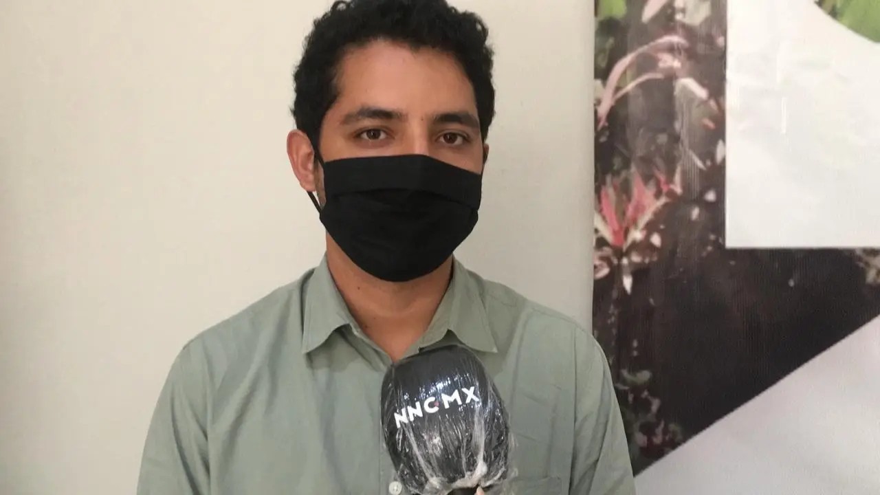 Tepic. Más de 100 árboles están en riesgo de caer