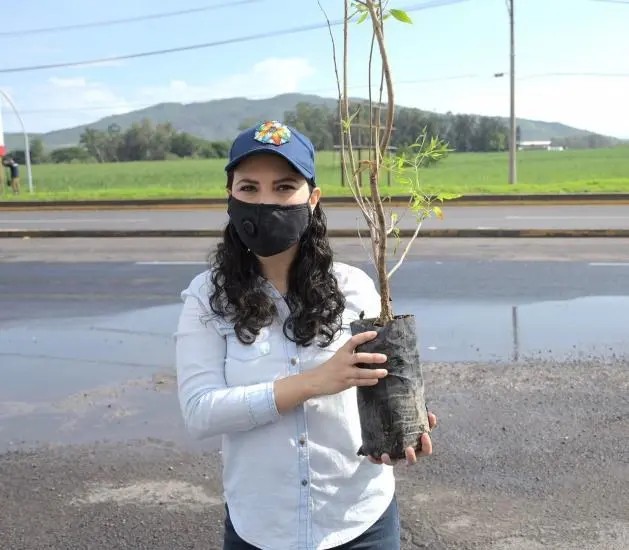 Estamos trabajando por más árboles mejor cuidados: Julieta Mejía