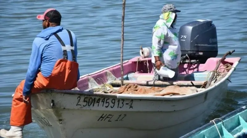 Guasave. Pescadores quedaron fuera de apoyos por error en registro