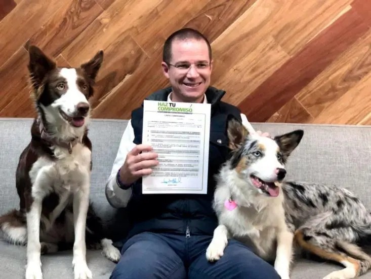 Ricardo Anaya, contrapeso de AMLO: Encuesta reforma