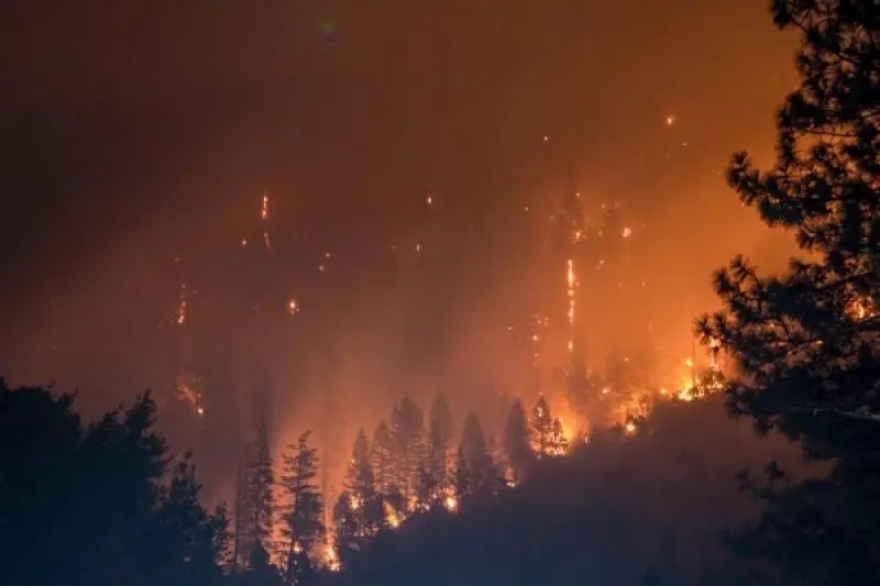 California. Ola de calor y relámpagos provocan fuertes incendios