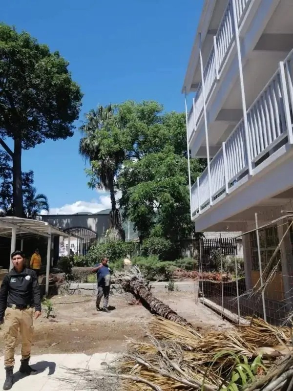 La prevención es la base de la seguridad ciudadana