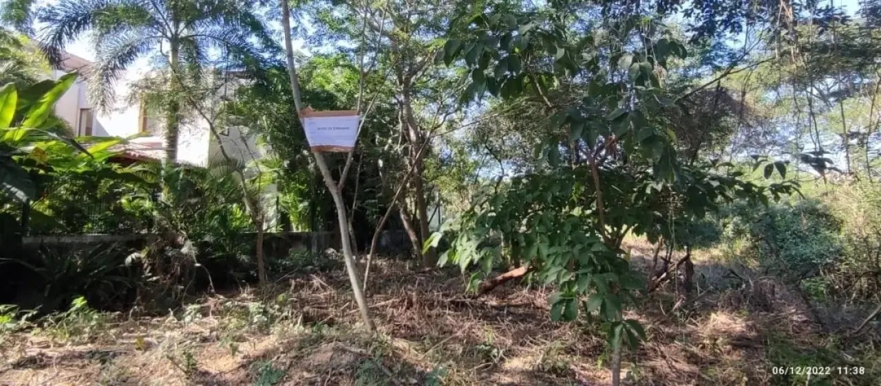 Embarga FIBBA decenas de bienes inmuebles