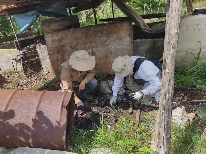 Encuentran nueva osamenta en Camichín de Jauja