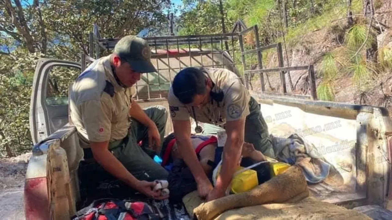 ¡árbol lo dejó inconsciente!