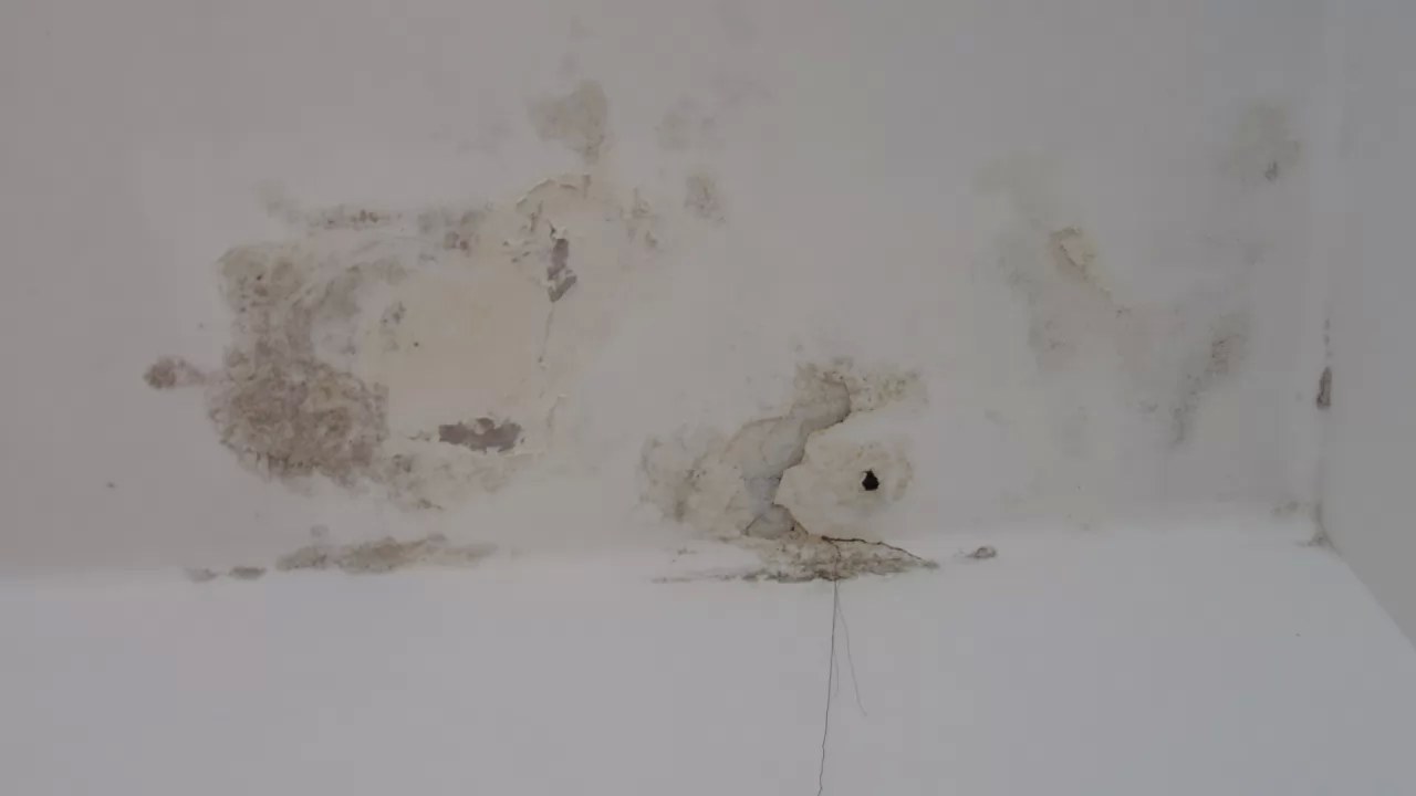 Devora humedad las oficinas del Ayuntamiento de Tepic