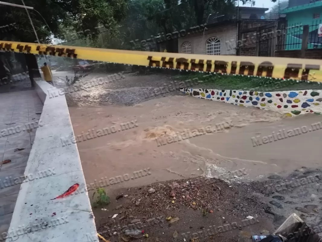 Árboles caídos, inundaciones y vehículo arrastrados dejó la fuerte tormenta