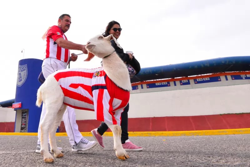 Chivas pone transferibles a 13 futbolistas