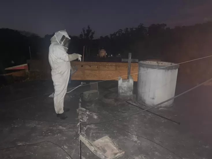 Colmenas de abejas en templo de El Pichón propicia pánico y tensión entre pobladores