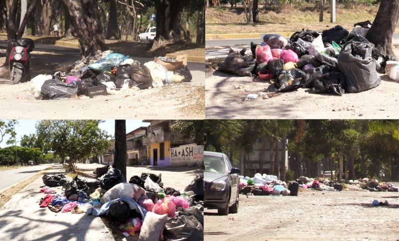 Urge que recojan basura de la Colosio: Vecinos de Tierra y Libertad