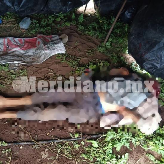 Lo encontraron degollado