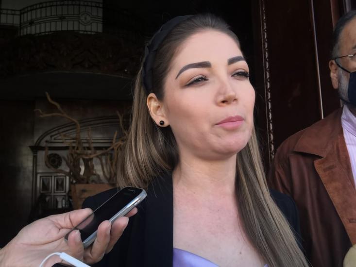 Solo acompañaremos lo que diga la dirigencia nacional de Morena: PVEM