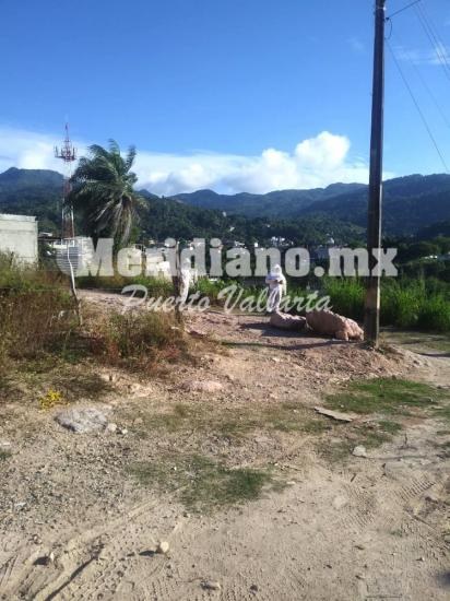 En la primavera… ¡enjambre de abejas ataca a una familia!