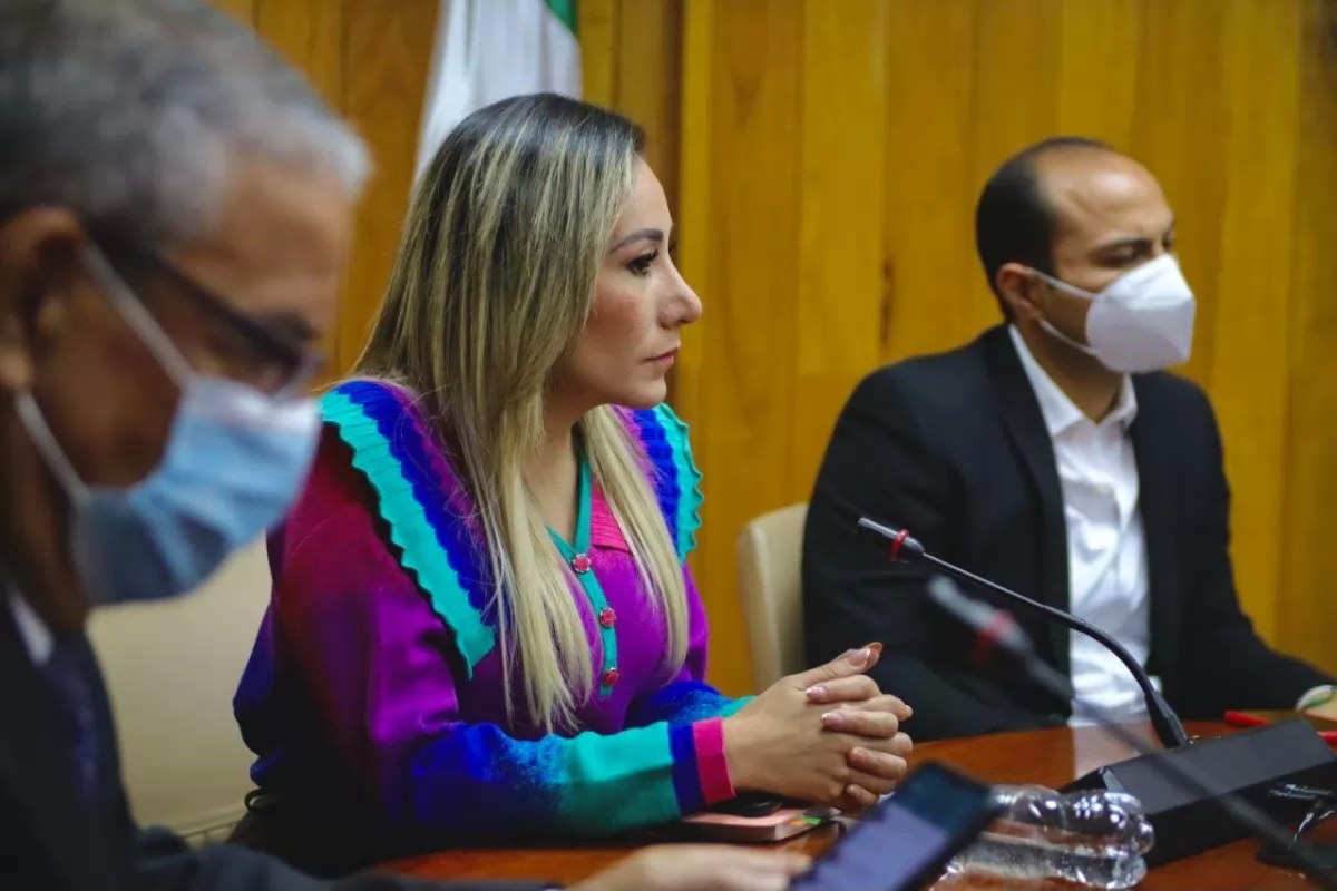 Deben nayaritas tener tarifas de luz más accesibles: Legisladora