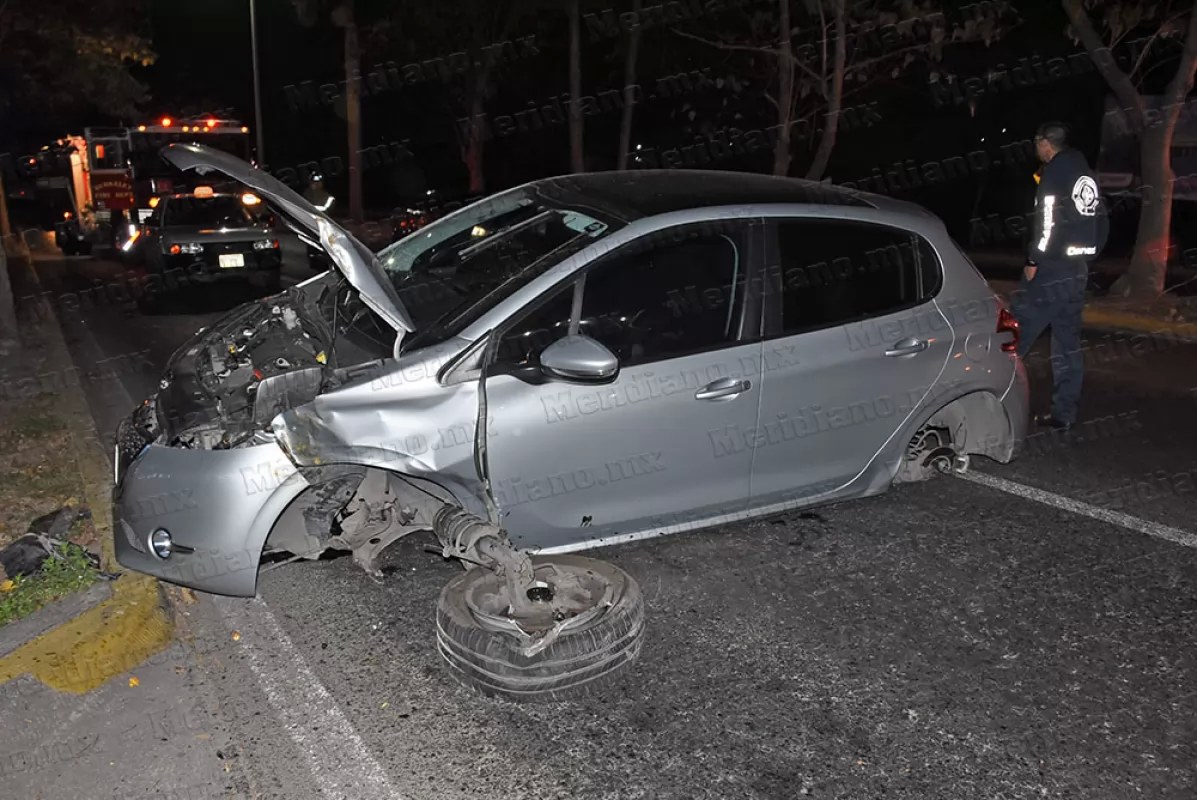Firulais provoca accidente frente al nuevo CREE