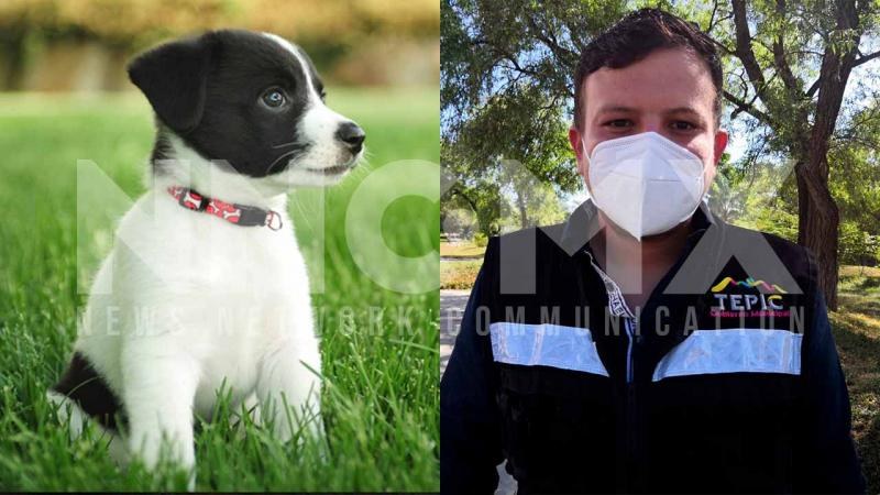 Beneficia ayuntamiento de Tepic a mascotas con campañas de esterilización gratuita