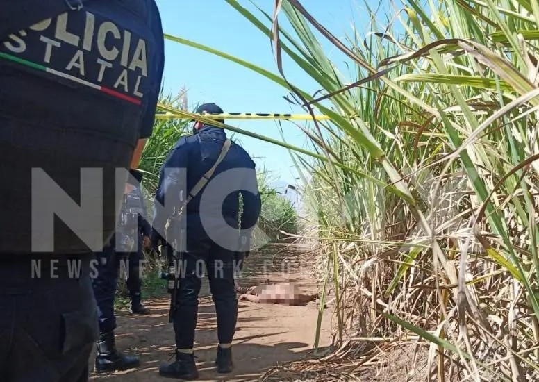 Lo mataron a golpes y lo tiraron